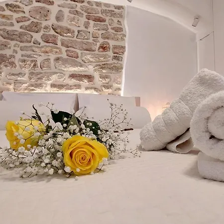 Mouses Erato Appartement *