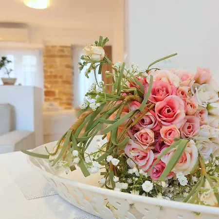 Mouses Erato Appartement