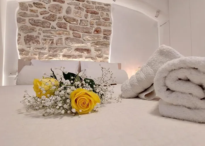 Mouses Erato Lägenhet *