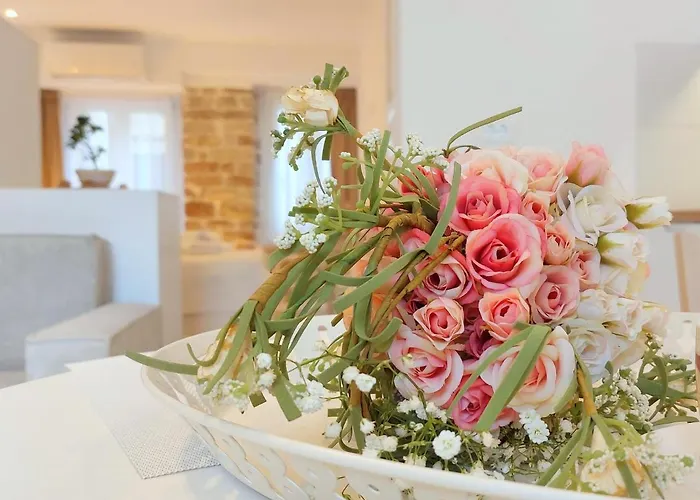 Mouses Erato Lägenhet